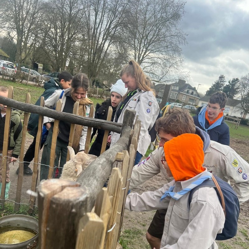 WhatsApp Image 2026-03-01 at 16.59.48 - Scouts en Gidsen Zaventem 